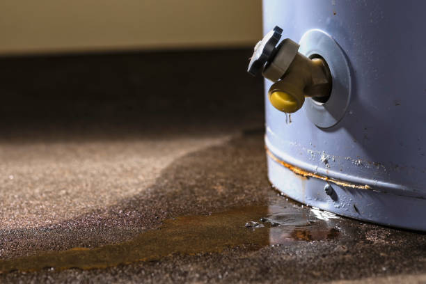 Best Water damage restoration company  in Rayre, MO