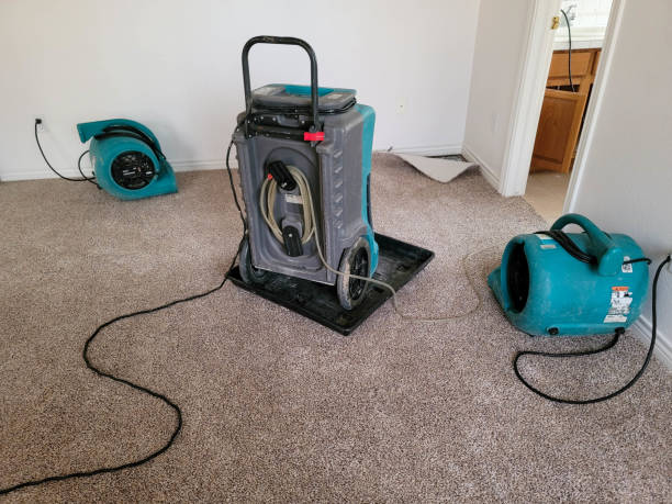 Best Flooded house restoration  in Rayre, MO