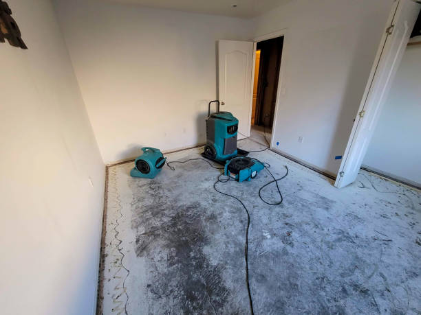 Best Commercial water damage restoration  in Rayre, MO