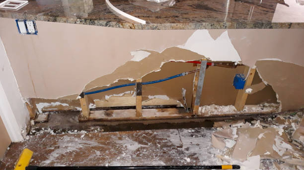 Best Carpet water damage restoration  in Rayre, MO