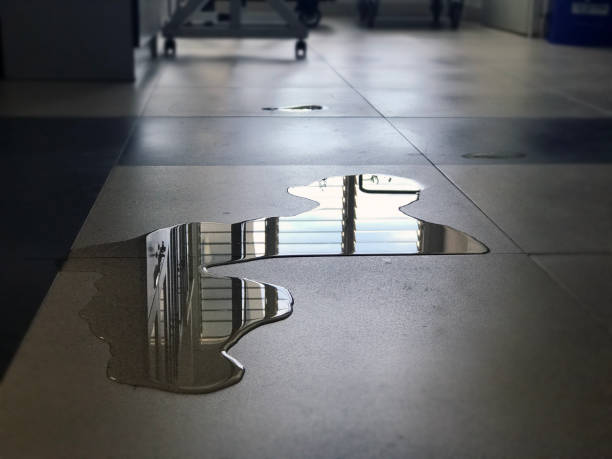 Best Water damage cleanup near me  in Rayre, MO