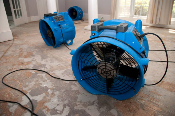 Best Basement water damage restoration  in Rayre, MO
