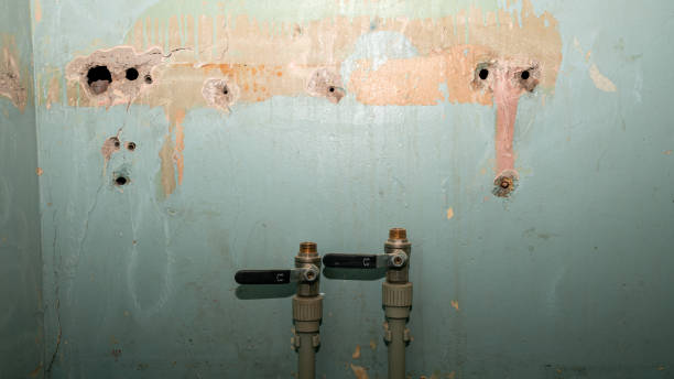 Best Ceiling water damage repair  in Rayre, MO