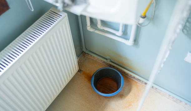 Best Water damage restoration mold remediation  in Rayre, MO
