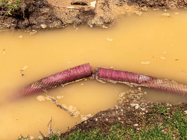 Best Water damage cleanup near me  in Rayre, MO