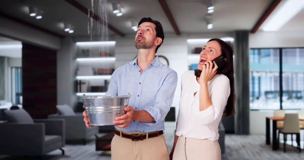 Best Professional water damage repair  in Rayre, MO