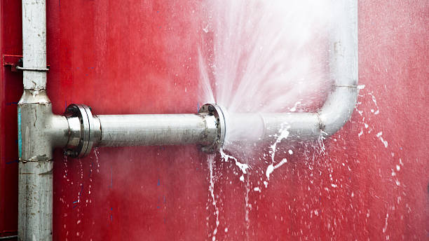 Best Flood damage cleanup  in Rayre, MO