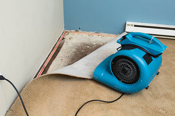 Best 24-hour water damage restoration  in Rayre, MO
